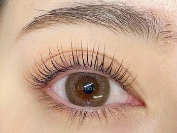 キャリコ(calico)/カラーエクステ