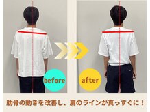 プレーバ(Preava)/姿勢の変化
