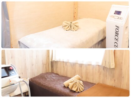 ファインボディ(Fine Body)の写真