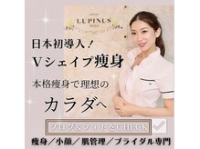 ルピナス ヒサヤ(LUPINUS hisaya)