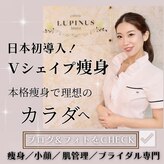 ルピナス ヒサヤ(LUPINUS hisaya)