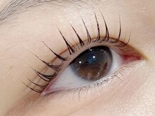 ロンド(Rond)/立ち上げデザイン