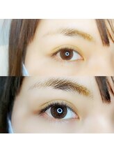 ルピナス(Lupinus)/LEDフラットラッシュ120本