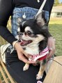 ピュール 鯖江店(PUR) わんちゃん飼ってます/福井まつげ/福井眉毛/まつげパーマ鯖江