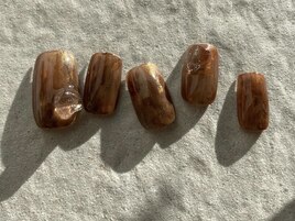 ３月定額ニュアンスコース