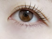 シープ(Sheep)/持ちがいいマツパ