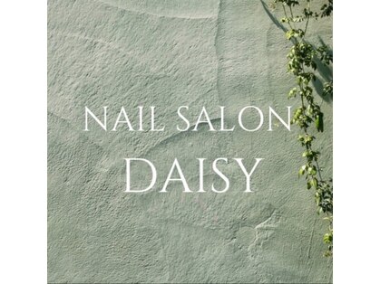 デイジー(DAISY)の写真