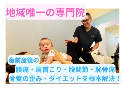 あおい鳥の写真