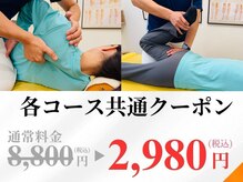 大川カイロプラクティックセンター ひらつかスターモール整体院