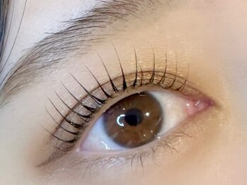 ベルアイラッシュ(Belu eyelash)の写真/パリジェンヌラッシュリフトで束感&ぱっちりリフトアップ◎輝くお目元を演出◇ダメージが少ないのも◎