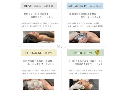 ステラ(Stella)の写真