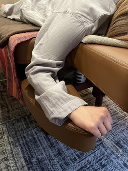 ラニー(Lany)/高さの調節可能な腕置き◎