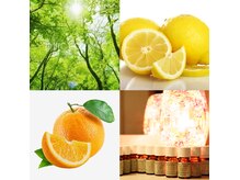 アロマ ドゥ アプロディテ(Aroma de Aphrodite)の雰囲気（10種類以上の精油をご準備。心身の状態に合わせてブレンド。）