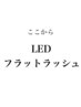 ↓ここからLEDフラットラッシュ↓