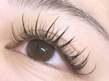 トータルビューティーブレイク 四日市ときわ店(TOTAL BEAUTY BREK)の写真/シングルラッシュ★リピート多数★ビューラー/マスカラ不要で時短！丁寧なカウンセリングで理想の目元に♪