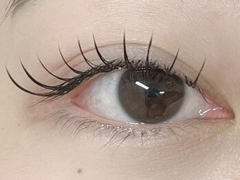 ローラン(LORAN)/LEDマツエク120本