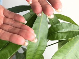 fre art 90min/7,980円