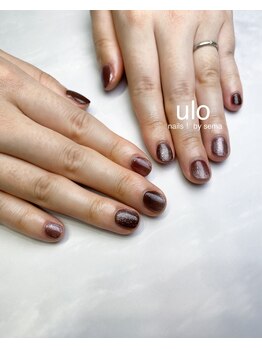 ウロネイルズ(ulo nails)/ブラウンマグネット ワンカラー