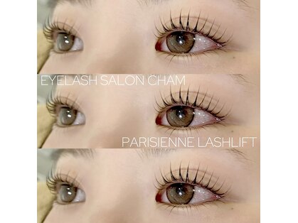 チャム(Cham)の写真