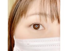 ルピナス(Lupinus)/LEDフラットラッシュ140本