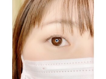 ルピナス(Lupinus)/LEDフラットラッシュ140本