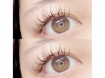 フーフロー(Fooflow)/フラットラッシュ120本