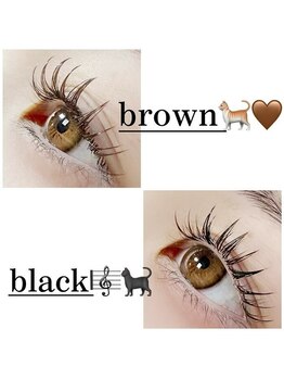 エクラ 伊勢崎店(eclat)/カラーマツエク/ブラウン