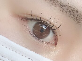 ヌン ブロウ 茅ヶ崎店(NUN BROWS)の写真/ふんわり可愛いデザイン～ぱっちり立ち上げデザインまであなたに合った韓国式まつげパーマをご提案★