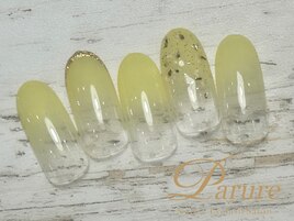 定額Aコース　イエロー　花