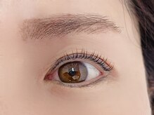 ムートン(mouton)/Uカール