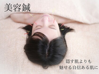 栖の写真