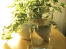 モンステラ/【よもぎ蒸し/ヘッドスパ】