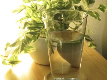 モンステラ/【よもぎ蒸し/ヘッドスパ】