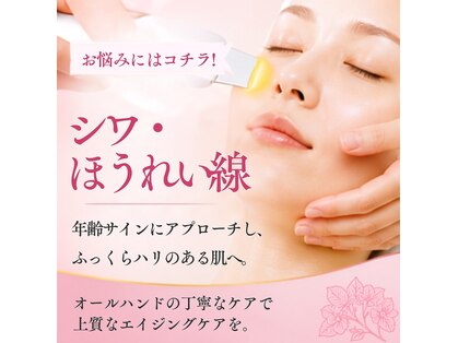 エステサロン さくら 中山ミレニティ店の写真