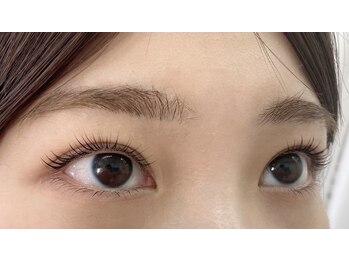 シスタス(Cistus)/上下ラッシュリフト