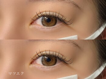 アンダンテ(Andante)/フラットラッシュ