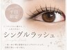 【平日限定クーポン】シングルラッシュ¥4500~¥6500