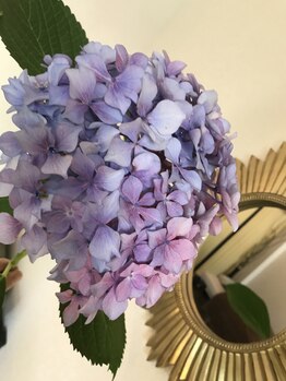 メホリア 西宮北口(Mejoria)/