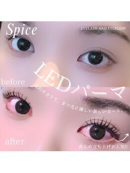 スパイス 心斎橋店(Spice)/LEDパーマ