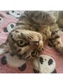 トゥルーネイル アンド アイ 上野店(TRU NAIL & EYE) 実家で飼い始めた猫です★保護猫ちゃんで1歳!まだまだ遊び盛り