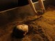 和する。の写真/自然の香り、発酵の温もり、サラふわの寝心地...。酵素浴でデトックスした後はご自身と向き合う時間に―。