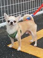 タイ式本舗&nbsp;犬も大好きです