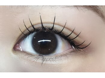 ニル 下赤塚(NIL)/フラッシュ120本