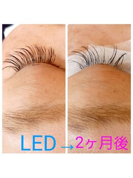 アイ シャイン(eye shine)/LEDエクステ