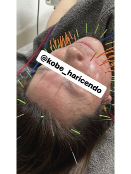 ハリシェンド/気になる箇所を徹底ケア