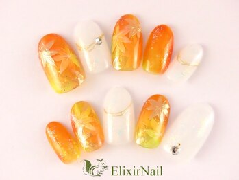 エリクサーネイル 神田(Elixir Nail)/やり放題 / クーポン使用