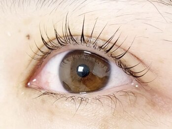 レッドビューティー(red beauty)/ 次世代☆まつ毛パーマ