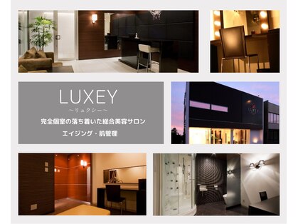 リュクシー(LUXEY)の写真