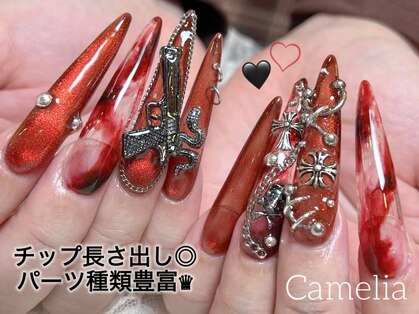 カメリア(Camelia)の写真