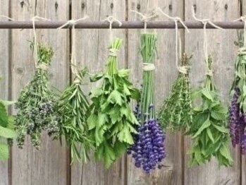 トップスキン 名駅(TOPSKIN)/ハーブピーリング専門店 TOPSKIN